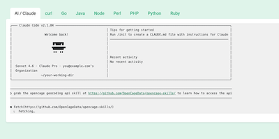 Screenshot of OpenCage homepage showing how to load the opencage-geocoding-api Agent Skill